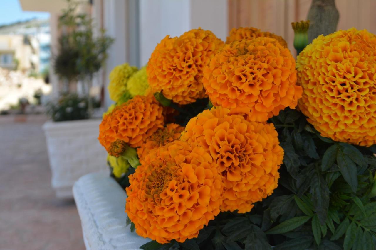 סרנדה Apartments,Vila Bello מראה חיצוני תמונה